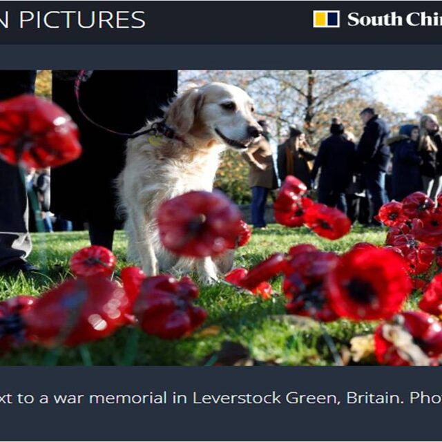Reuters-picture-Remembrance-Sunday-2018